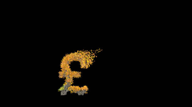 istock Growing Tree in a shape of a pound sign. 1263343792