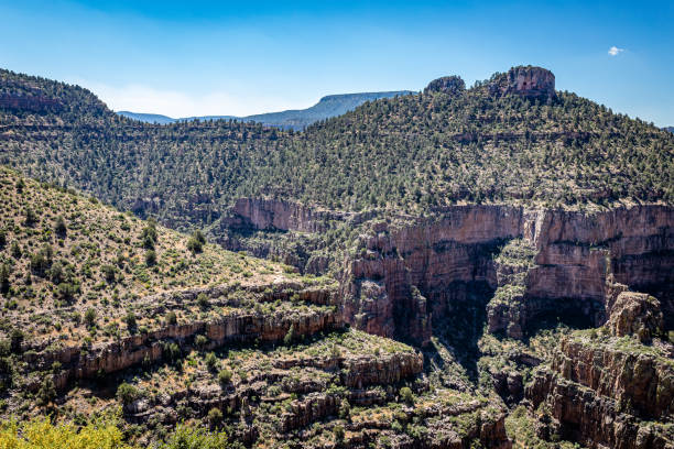 istock Becker Butte Lookout Arizona 1263343799