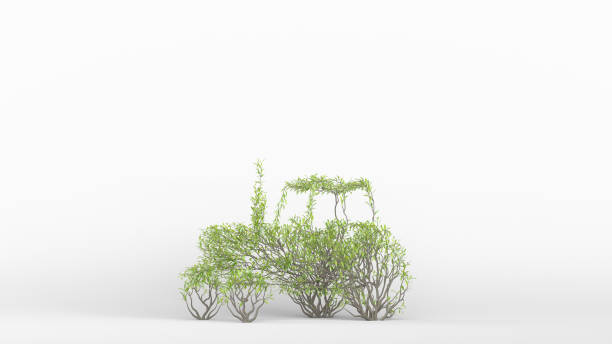 istock Growing Tree in a shape of Tractor. Eco Concept. 1263345631