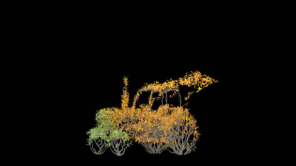 istock Growing Tree in a shape of Tractor. Eco Concept. 1263346805