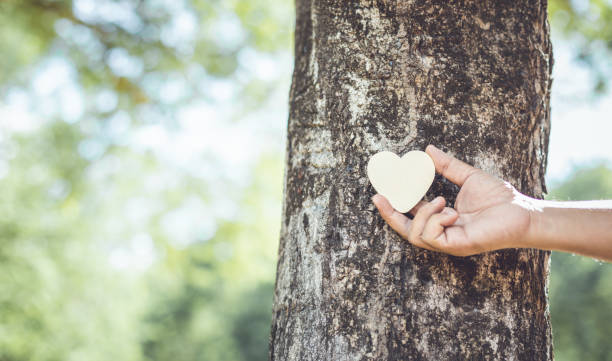 istock Asian man giving a hug on big teak tree hug. Love tree and nature or environment concept 1263348167