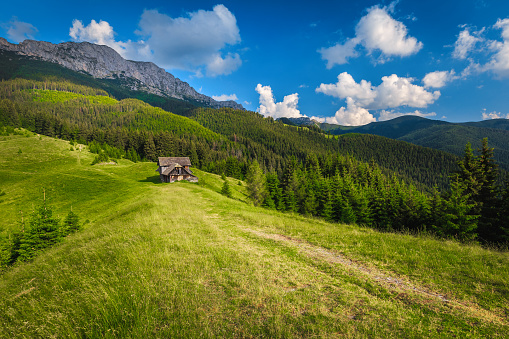 Summer alpine landscape with mountains and rickety wooden hut on the green meadows, Carpathians, Transylvania, Romania, Europe