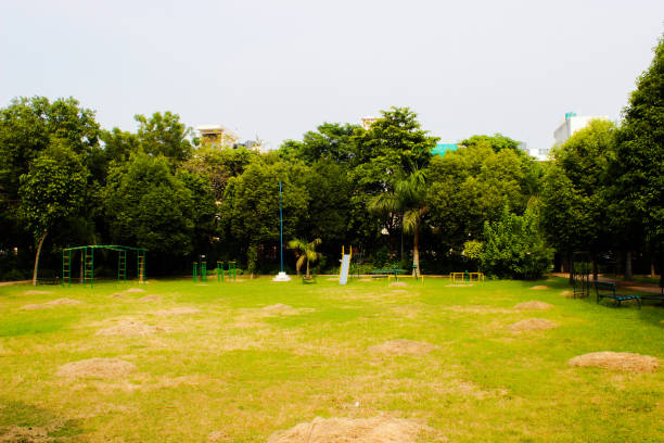 istock A picture of garden 1263350787