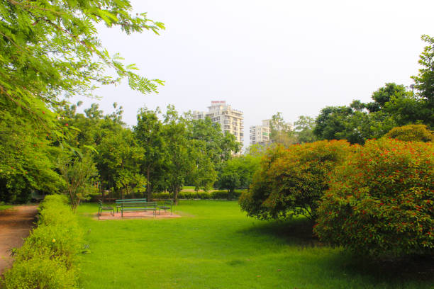 istock A picture of garden 1263350818