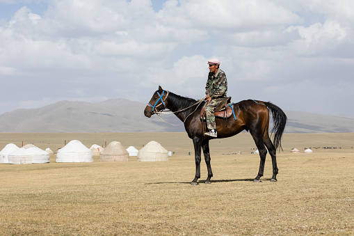 Erdenet, Mongolia - July 18, 2023: A shepherd on horseback with his herd in the Mongolian steppe, Erdenet, Mongolia.