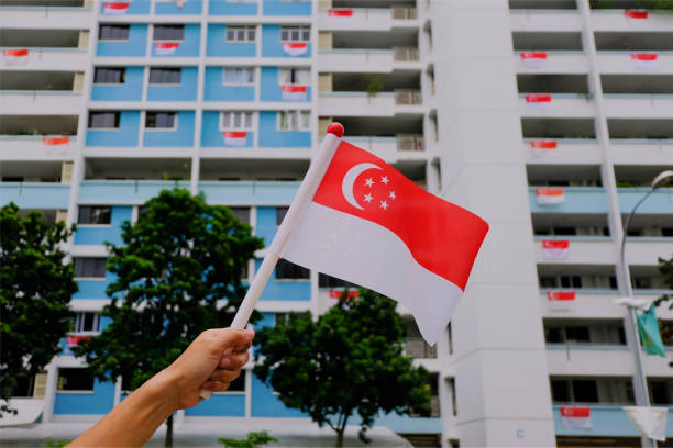 mão agitando bandeira de cingapura fora em dia ensolarado, hdb planas ao fundo, com folhagens de árvores - apartment sky housing project building exterior - fotografias e filmes do acervo