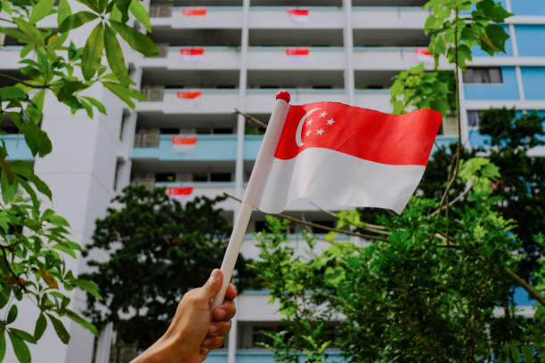 陽光燦爛的日子,手搖新加坡國旗,在背景中,建屋區公寓,樹葉。 - 國家假日 個照片及圖片檔