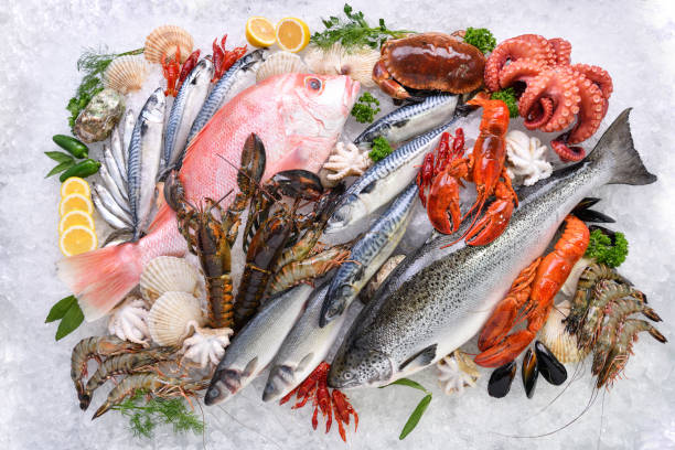 Top view of variety of fresh fish and seafood on ice Top view of variety of fresh fish and seafood on ice catch of fish stock pictures, royalty-free photos & images
