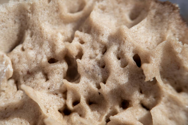 istock Close-up of cooked dough in soft focus 1263357452