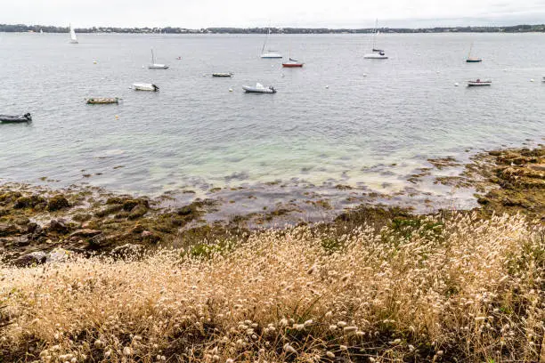 Photo of view of the island Moines, the Gulf of Morbihan