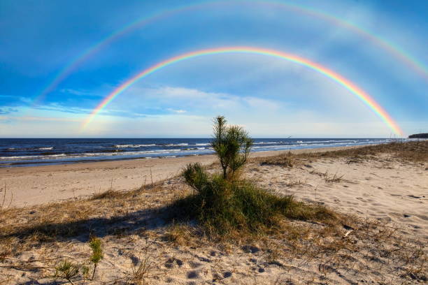 istock Small Pine & Rainbow on the Latvian beach 1263358317
