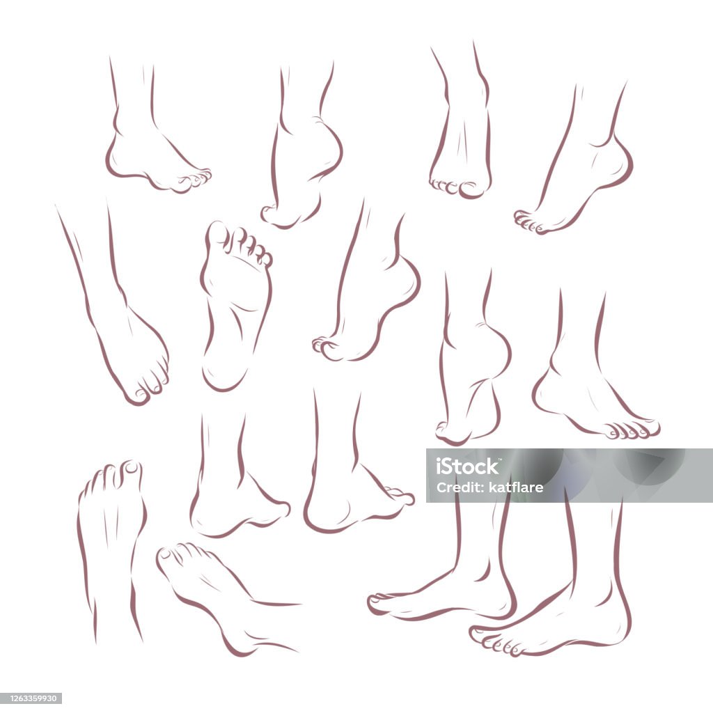 Collection Of Bare Human Man And Woman Feet Arranged In Different Poses  Isolated On White Background Stock Illustration - Download Image Now -  iStock