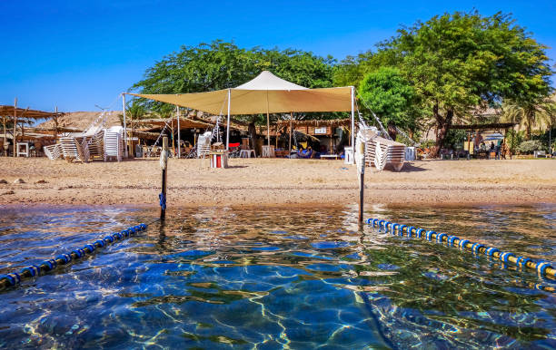 istock Sandy beach with buoys for safety swimming 1263361413