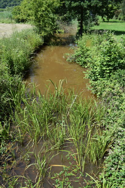 istock small river out of Meerfelder Maar 1263361523