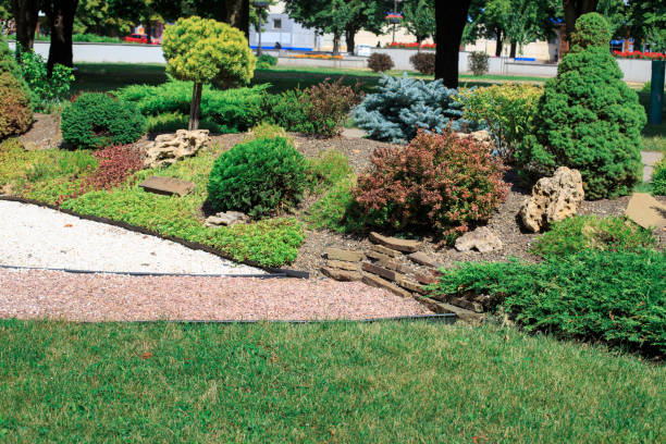 istock Flowerbed in the park on a sunny summer day 1263363572