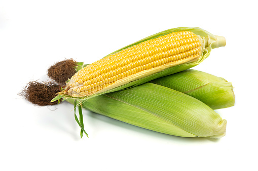 Corn on White Background