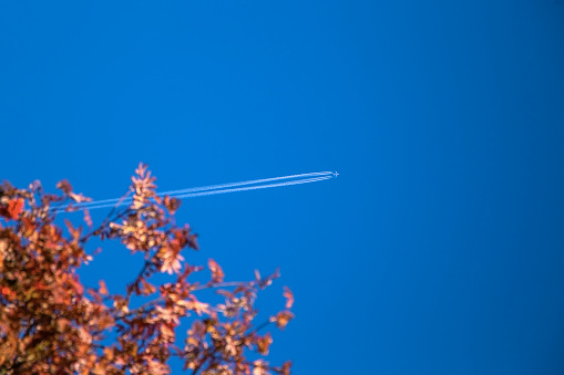 Jet plane flying overhead with condensation trail in the blue sky over autumn tree. Travel ban, Vacation, Transportation Concept