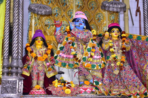 istock The idol of Lord Krishna 1263372296