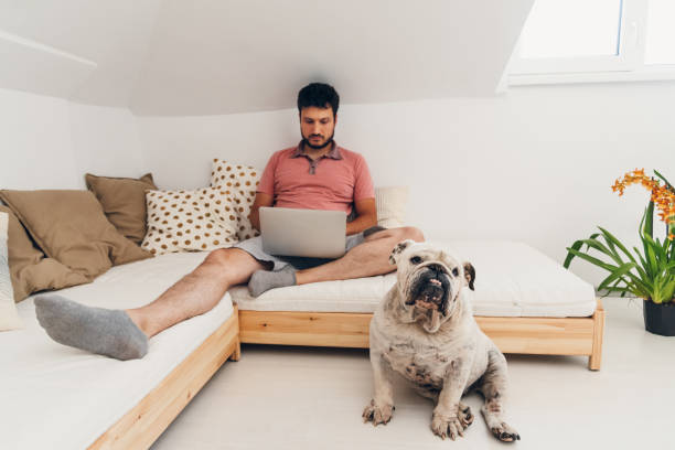 istock Working at home, two of us 1263374663
