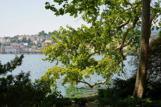 Lugano City with lake