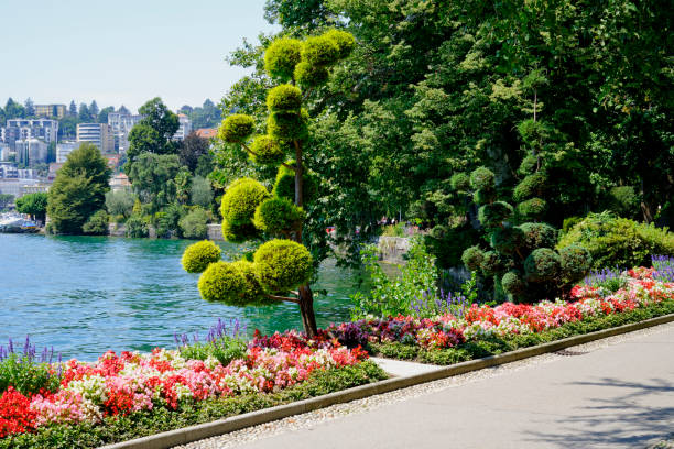Lugano City with lake