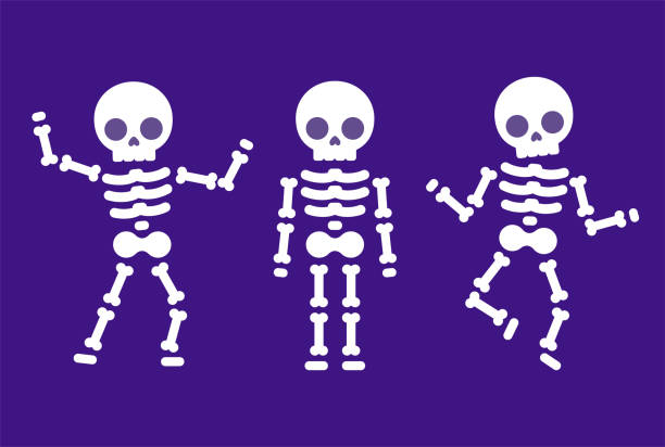 Cartoon dancing skeleton Funny cartoon dancing skeleton, simple flat illustration. Cute Halloween clipart graphics. human skeleton stock illustrations