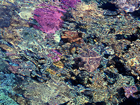 Coral Reef Colorful Refraction Pattern Abstract Background Prism Effect Spectrum Blurred Texture This is a natural coral reef with refraction on the water surface, edited with filters