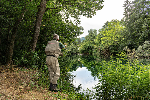Senior Fly Fisherman on the Vipava river in Primorska,Slovenia,Europe,Nikon D850
