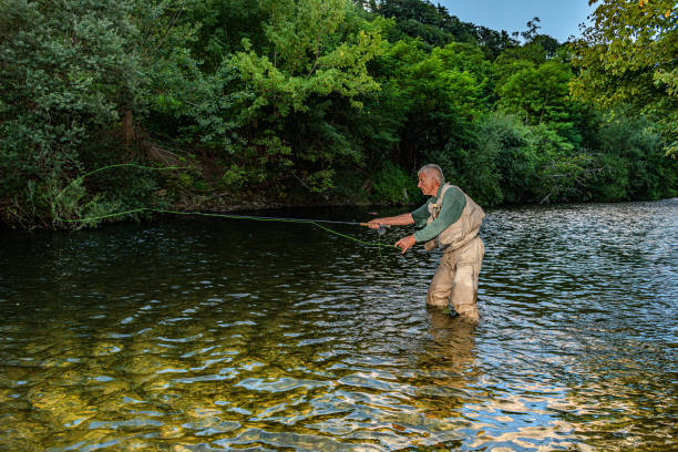 Senior Fly Fisherman on the Vipava river in Primorska,Slovenia,Europe Senior Fly Fisherman on the Vipava river in Primorska,Slovenia,Europe,Nikon D850 primorska white sport nature stock pictures, royalty-free photos & images