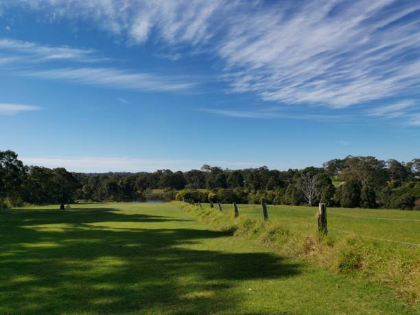 istock Beautiful view of a park with deep blue sky, light fluffy clouds, tall trees and grass 1263397956