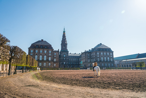 Copenhagen, Denmark - April 28. 2018 -  Morning work of the white royal horses of the breed Kladruby in Christiansborg palace. they are moved, they practice on the carriage and get used to crowds.