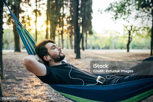 Leisure Activity In The Forest Man In Resting Stock Photo - Download Image Now - Below, Resting, Tree