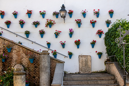 A traditional Cordoba patio has flowers on the wall to brighten the shady courtyards