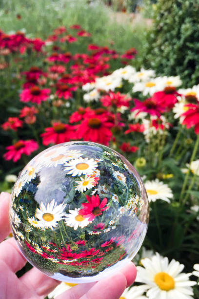 istock Garden in a Crystal Ball 1263407727