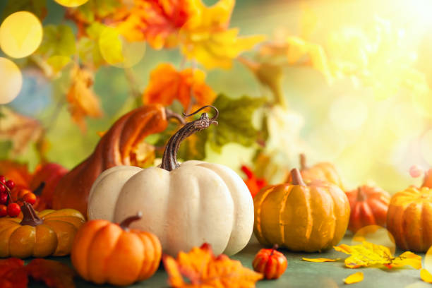 Festive autumn decor from pumpkins, berries and leaves.