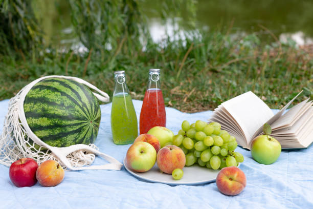 istock summer picnic with watermelon, fresh fruit and bottled drinks on a blanket 1263409062
