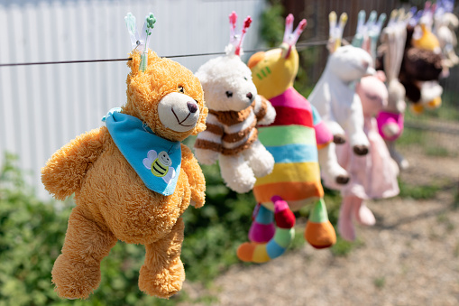 various plush toys hanging from the clothesline in the backyard on a sunny summer day. Disinfection from germs and dust mites.