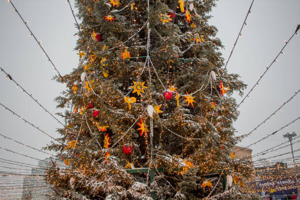 istock christmas tree outside at christmas 1263410656