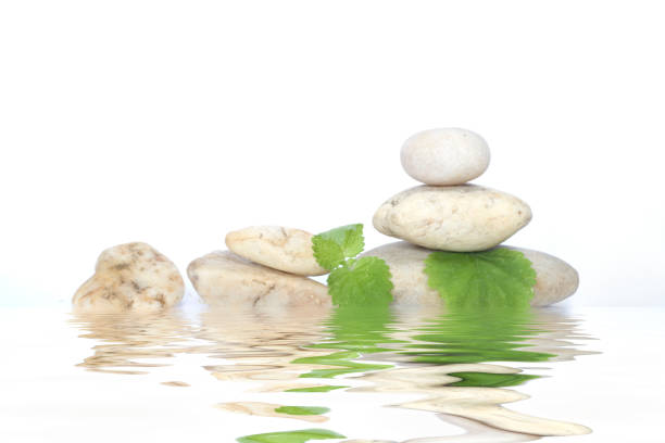 istock wellness,spa,relaxation,zen stones,lemon balm herb,aromatherapy,free copy space 1263410789