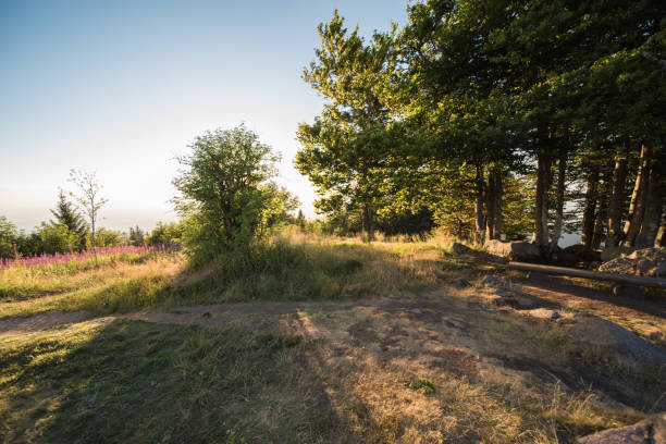 istock landscape southern germany 1263410957