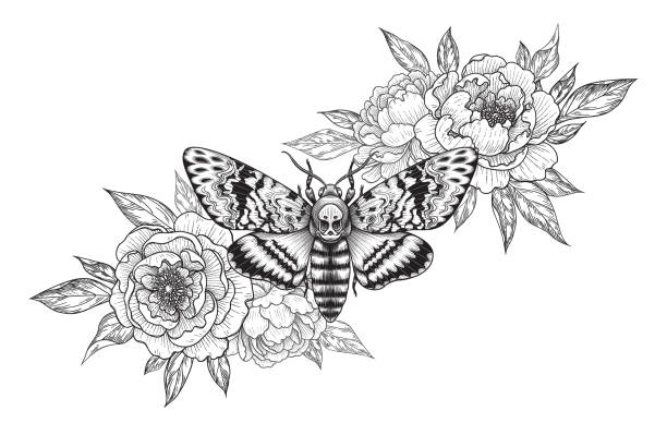Hand drawn Acherontia Styx butterfly and Peony flowers Hand drawn Acherontia Styx butterfly and Peony flowers on white. Monochrome elegant floral composition with Death's-Head Hawk Moth. Vector illustration in vintage style, tattoo art, t-shirt design. tattoo clipart stock illustrations