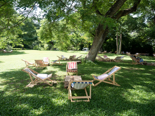 silla de lona y mesa de madera bajo el árbol en el jardín. configuración de la fiesta del té de la tarde. - tea women tea party afternoon tea fotografías e imágenes de stock