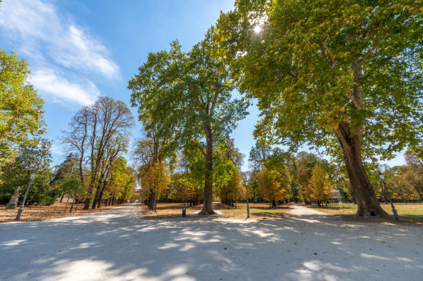 istock Parco Ducale park in Parma, Italy 1263422931