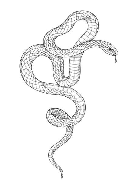 白紙のバックグロウンに孤立した手描きのねじれたヘビ - ヘビ点のイラスト素材／クリップアート素材／マンガ素材／アイコン素材
