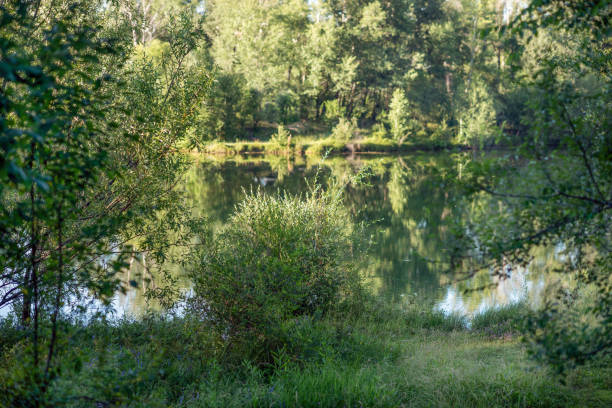 istock A beautiful view of the river. 1263424740