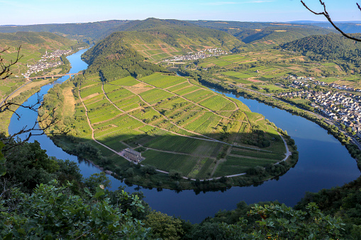Moselle loop at Bremm from the mountain Calmont in the evening sun, Moselle valley, Germany