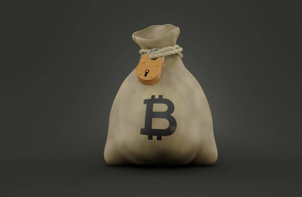 istock Money bag with bitcoin symbol 1263427216