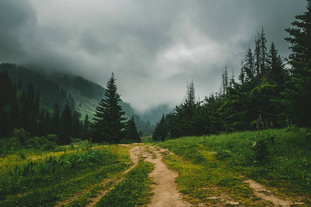 istock road in the mountains among the forest under gloomy clouds. dark mood landscape 1263433607
