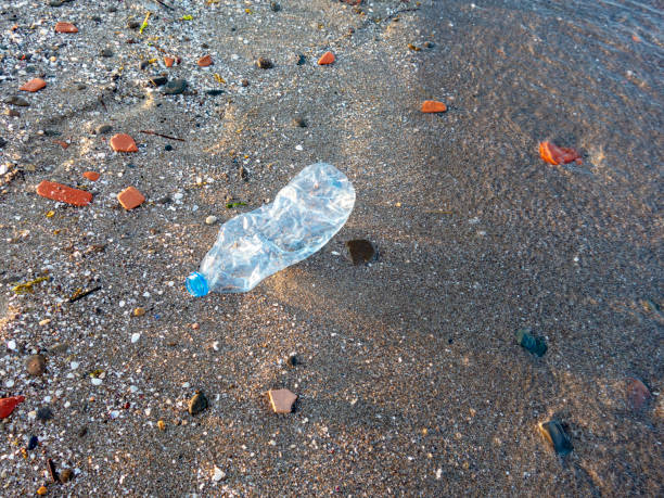 istock Plastic water bottle thrown on the beach 1263433874