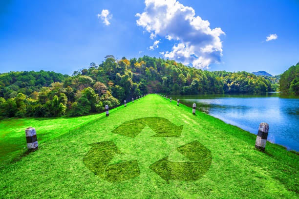 istock Sustainable environment and save our world concept 1263435439